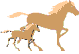 cavallini gif