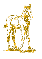 horse