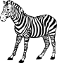 zebra gif