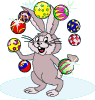 coniglio giocoliere