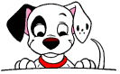 cane dalmata