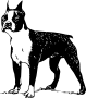 cane gif