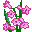 fiore