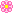 fiorellino