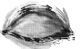 occhio gif