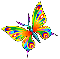 farfalla multicolor