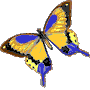 farfalla-400