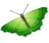 farfalla verde