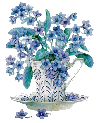 Brocca su piatto con fiori celesti