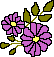 fiori viola