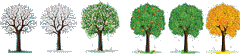 alberi gif