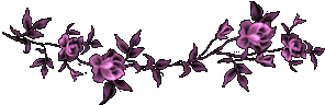 fiore violetto