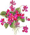 vaso di fiori rosa