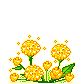 fiore gif