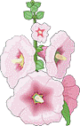 malva gif