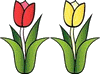 tulipani gif