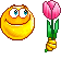 tulipano-lui