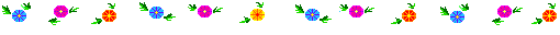 IMAGE(http://www.lucianabartolini.net/gif/frasi/linea-fiori-100.gif)