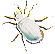 acaro gif