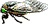 cicalina gif