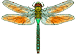 libellula mini