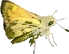 esperide gif