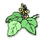 foglie gif