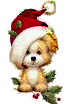 cane con cappello natalizio