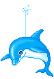 pesce gif