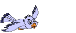 uccellino