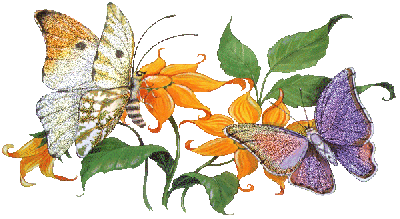 farfalle e fiori