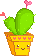 pianta grassa gif