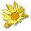 fiore giallo mini