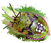cimice gif