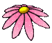 fiore gif