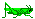grillo gif
