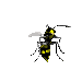 ape mini gif