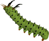 bruco gif