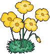 fiore giallo gif