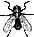 mosca gif
