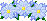 fiori