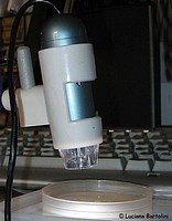 Digital microscope, un utile e piccolo microscopio digitale