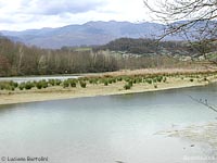 bandella bacino palustre