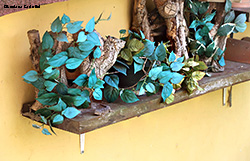 Quattro gechi