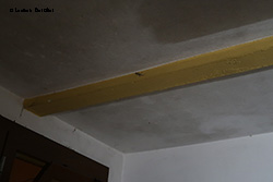geco piccolo in garage