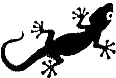 geco gif