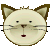viso gatto