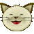 viso gatto
