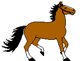 cavallo marrone gif
