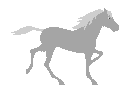 cavallo grigio gif